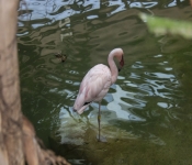 2019 02 21 MNNewZoo 034